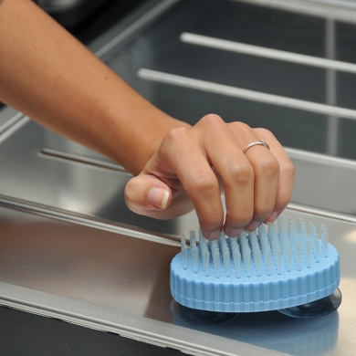 Suction cup brush Suction cup brush